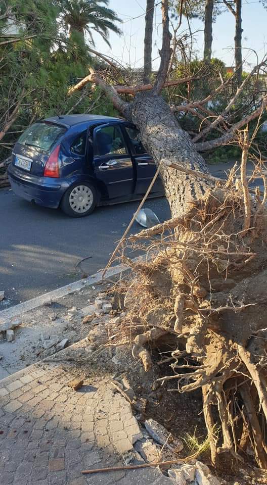 Albero si schianta su un’auto a San Sebastiano: tragedia sfiorata