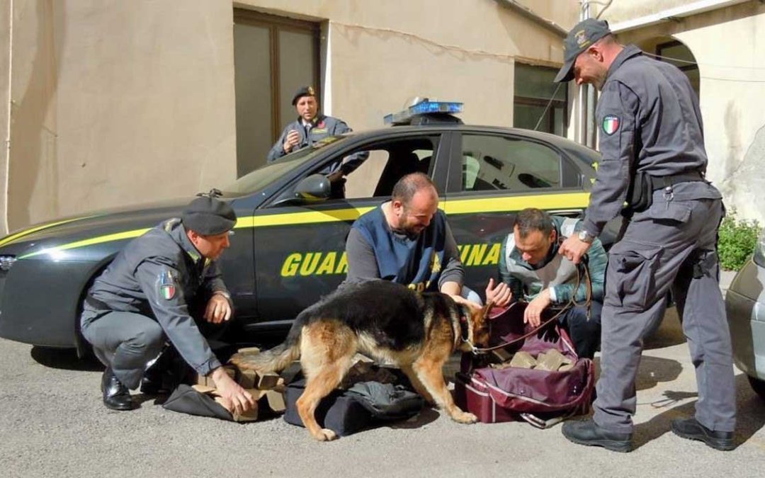 Coppia proveniente da Barcellona aveva 107 chili di hashish in auto: arrestati al porto di Civitavecchia