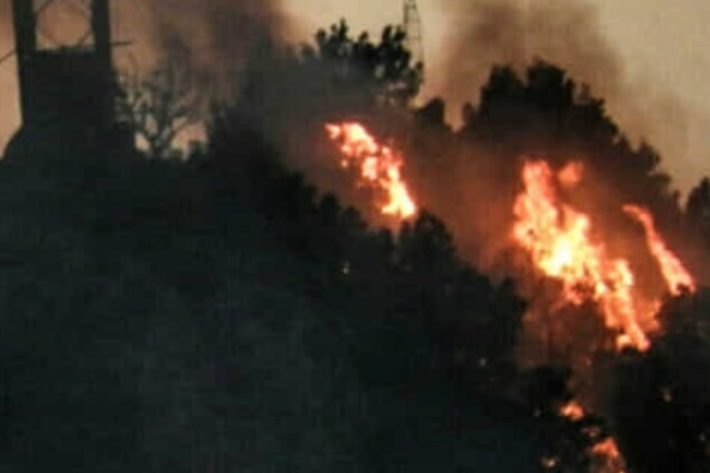 A fuoco tre ettari di vegetazione nel salernitano: indagini in corso