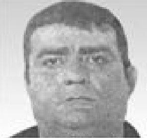 antoniodando.jpg