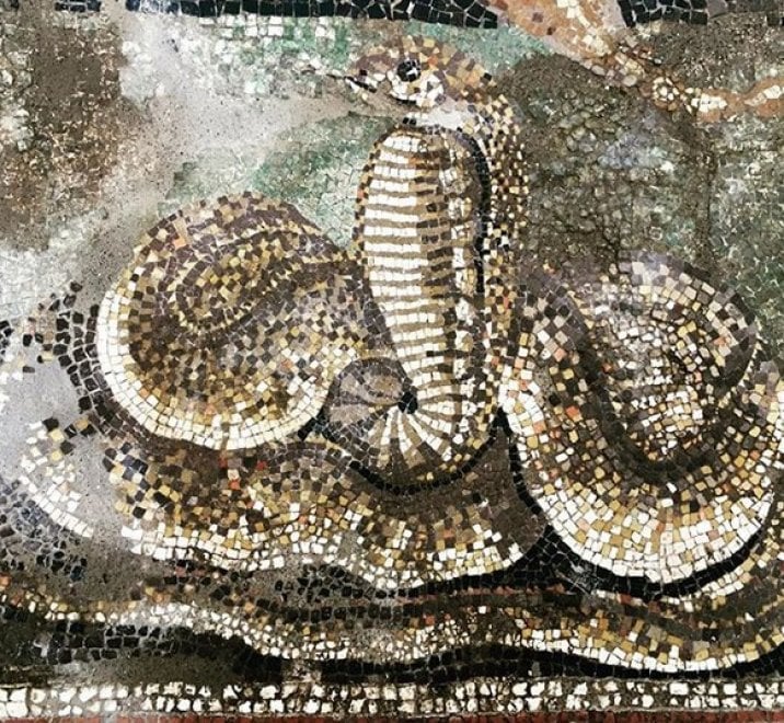 Pompei: su Instagram nuovi mosaici degli Scavi non visitabili