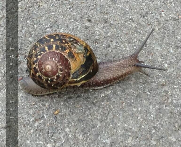 Musica. Nuovo album per i Letti Sfatti. Venerdì 5 aprile esce ‘Ogni giorno rischio di essere felice’