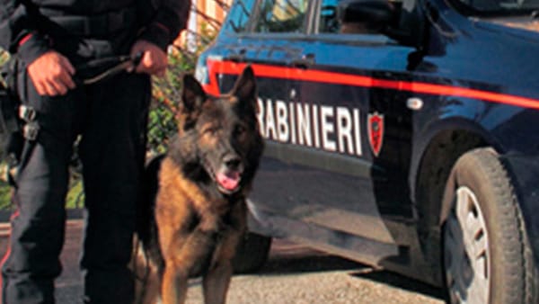 I carabinieri trovano a Caserta una ‘casa da sballo’