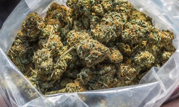 Spaccio di stupefacenti a Castel Volturno: quattro chili di marijuana sequestrata e quattro arresti