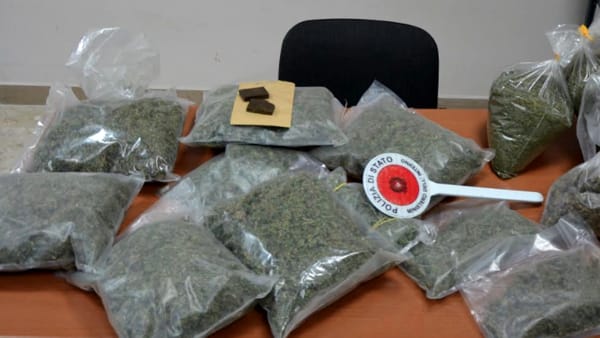Aveva una piantagione di marijuana: arrestato 30enne, denunciato il ‘colono’