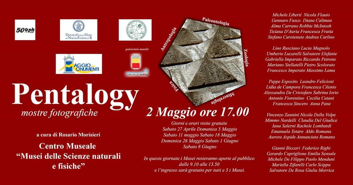 Pentalogy, la mostra che attraversa 5 Musei scientifici federiciani: 2 maggio al Real Museo Mineralogico