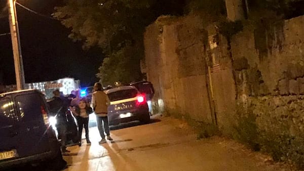 Ladri messi in fuga da due chihuahua: inseguiti e catturati dalla polizia