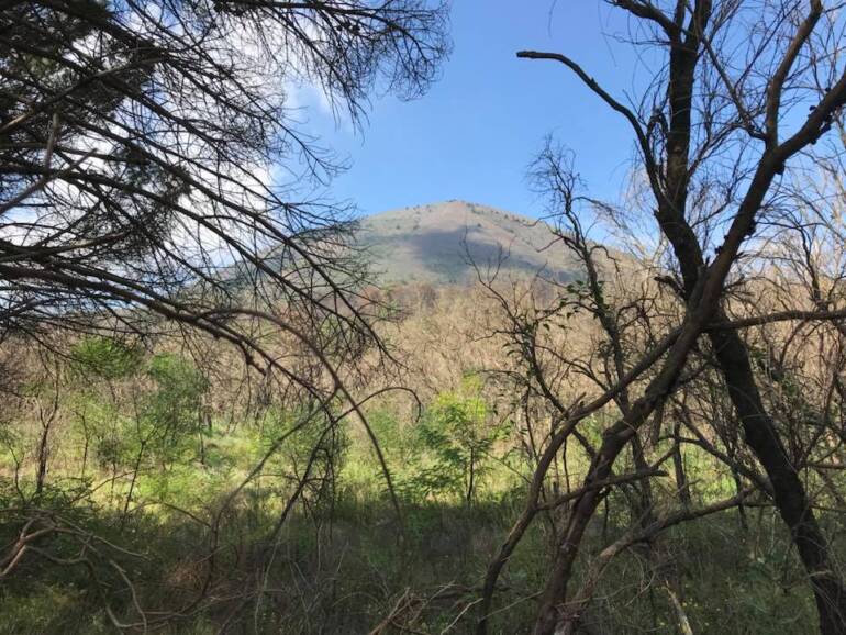 Pasquetta sul Vesuvio con le eco escursioni a cura di Econote e Vesuvio Natura da Esplorare