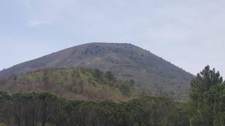 Festa dell’albero di Legambiente: domani sul Vesuvio piantumazione di oltre 300 alberi donati dai soci dell’associazione