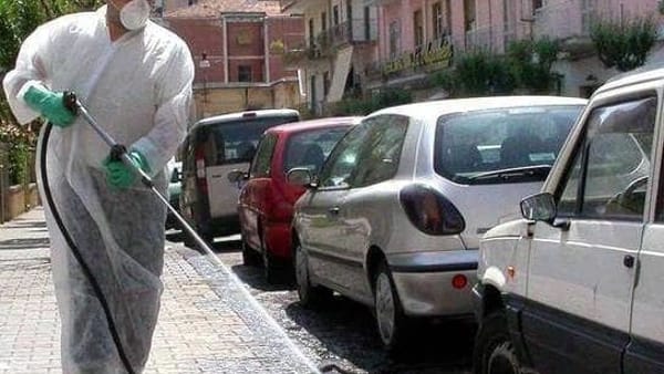 Blatte e topi a Salerno, il sindaco chiede l’intervento dell’Asl