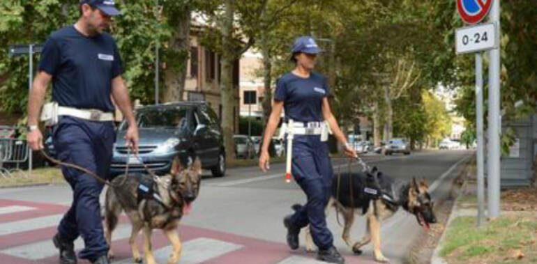 Smantellata piazza di spaccio nel Casertano. Blitz di Polizia e Finanza