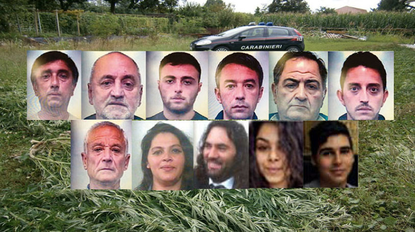 Camorra da esportazione: chiuse le indagini per i boss dei Lattari per le piantagioni di marijuana in Abruzzzo