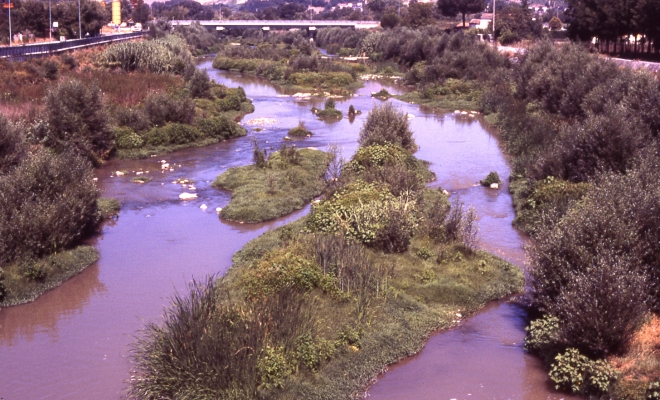 Tracce di mercurio nel fiume Sabato, sindaco dell’Avellinese vieta l’uso dell’acqua