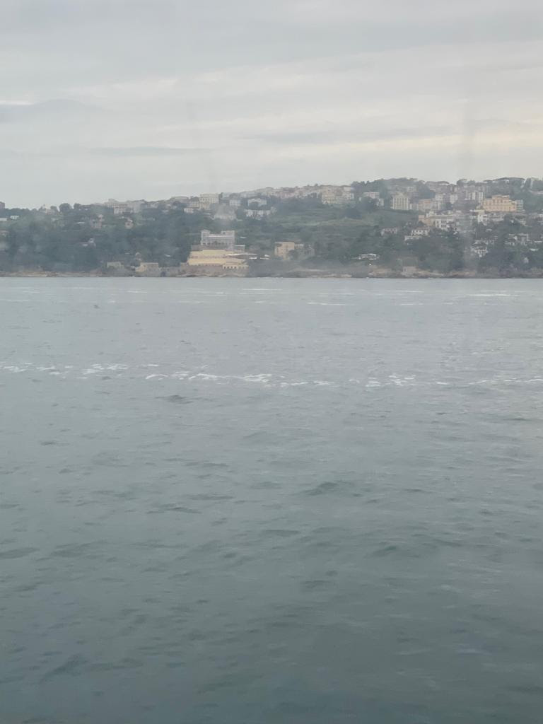Il mare del Golfo di Napoli con striature bianche, la denuncia dei Verdi: ‘Inquinato da rifiuti tossici’
