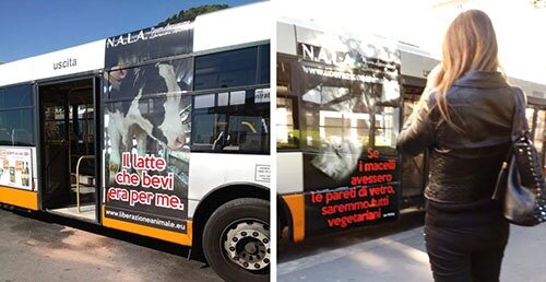 Bus con ‘manifesti itineranti’ per sensibilizzare la causa animalista