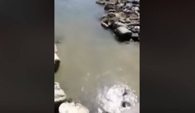 Napoli, nuovo sversamento sospetto in via Partenope, l’acqua è diventata torbida e maleodorante. IL VIDEO
