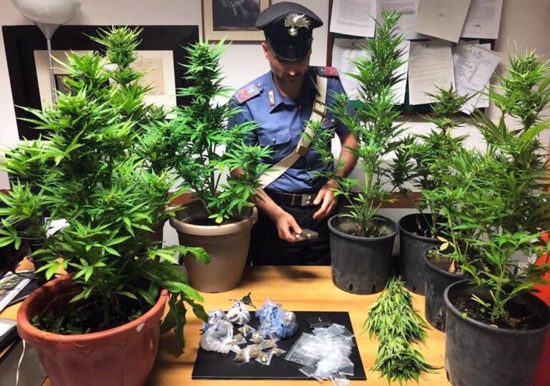 Gragnano, produzione di cannabis in casa: denunciato 22enne