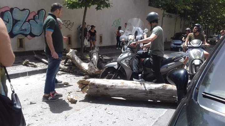 Napoli, albero caduto al Vomero: sotto accusa la mancata manutenzione del verde