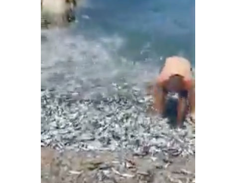 Pesca ‘miracolosa’ sulla spiaggia. IL VIDEO VIRALE SUI SOCIAL