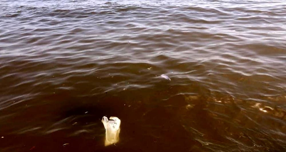 Mare inquinato sul litorale Domizio, i Verdi chiedono l’intervento dell’Arpac