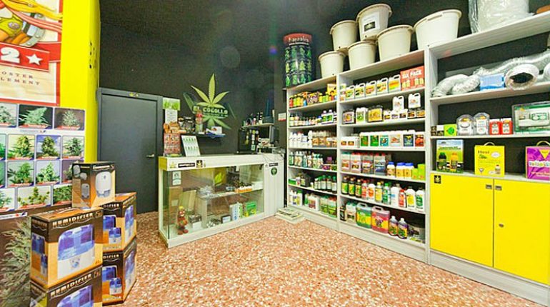 Vendevano cannabis ‘illegale’ sequestrati 3 negozi a Caserta