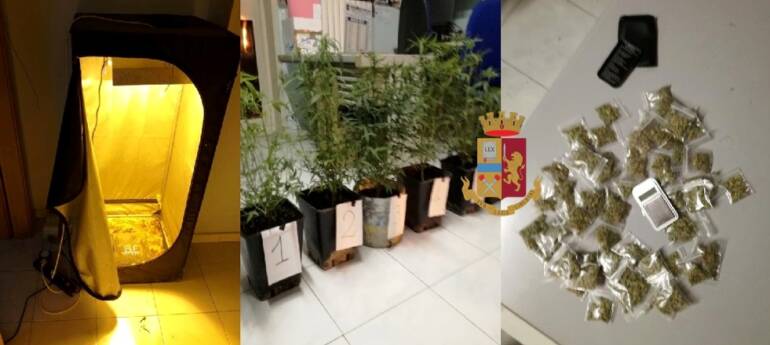 Serra di marijuana nel garage di casa: arrestato un 23enne di Pomigliano d’Arco a Marigliano