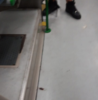 Napoli, panico sul bus R5 per Scampia: una blatta all’interno del mezzo e i passeggeri chiedono di scendere