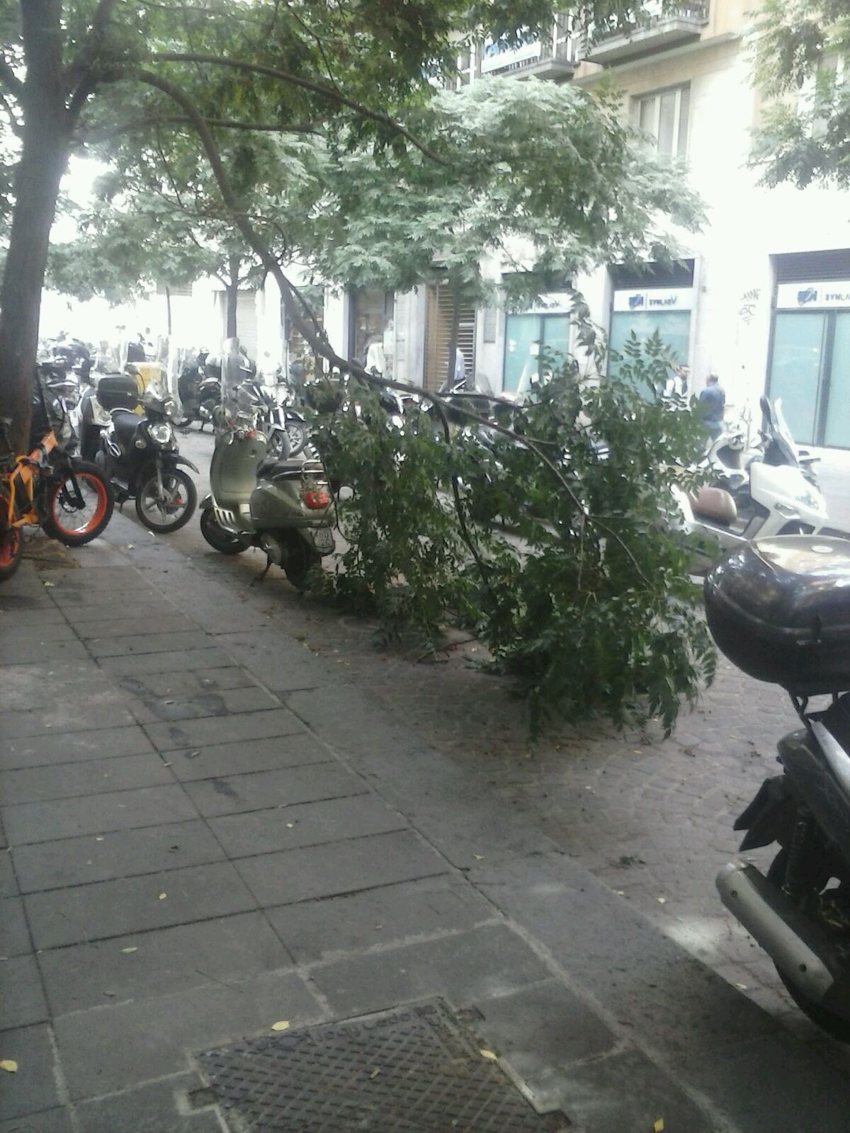 Napoli, tragedia sfiorata in via Cervantes: grosso ramo cade davanti a un passante