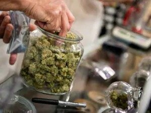 Cannabis light, Salvini voleva chiudere i negozi, ma i tribunali danno ragione ai commercianti