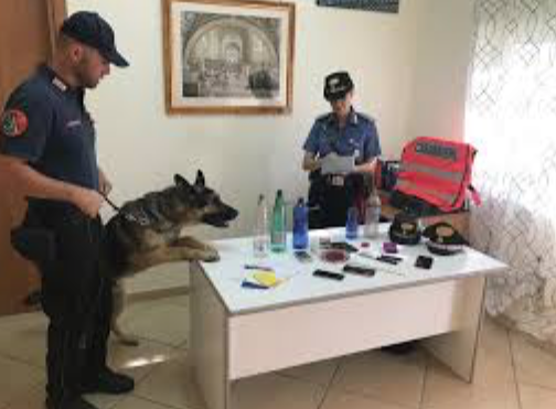 Irruzione con i cani antidroga, trovato in casa con la cocaina: arrestato 41enne