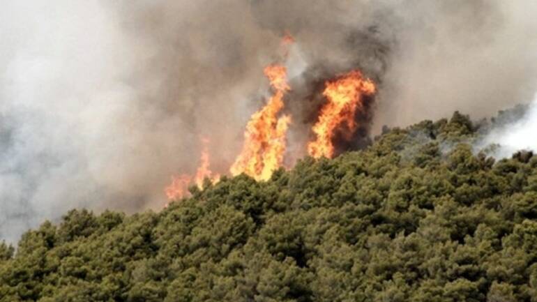 Vasto incendio nell’Oasi dei Variconi a Castel Volturno