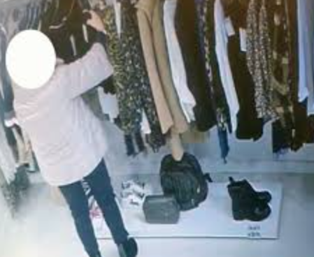 Le telecamere di sorveglianza riprendono un furto: il proprietario pubblica le riprese della ladra su facebook