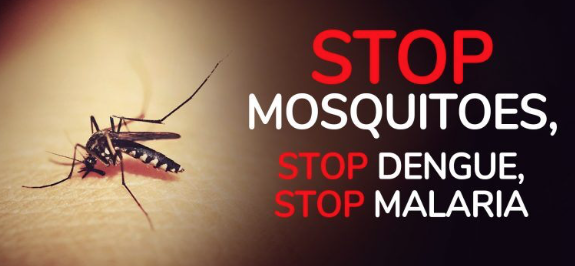 Oggi è il ‘Mosquito day’: le zanzare letali per l’uomo, causano 725mila morti l’anno