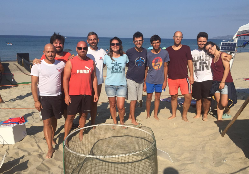 Ascea Marina attende una nuova schiusa di uova di tartaruga marina