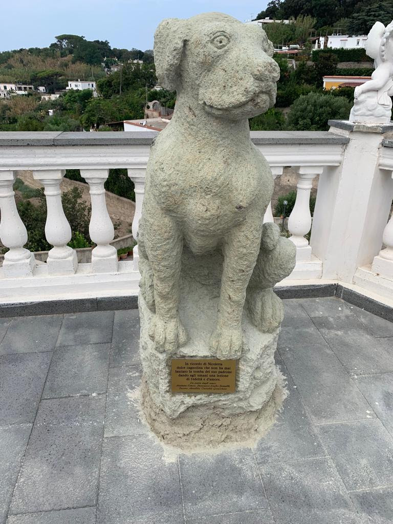Forio d’Ischia, inaugurata la statua dedicata a Nicoletta, la cagnetta che vegliava sulla tomba del padrone al cimitero di Panza