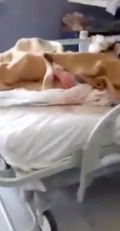 L’Asl Napoli 1: ‘E’ falso il video delle lenzuola sporche all’ospedale San Paolo’