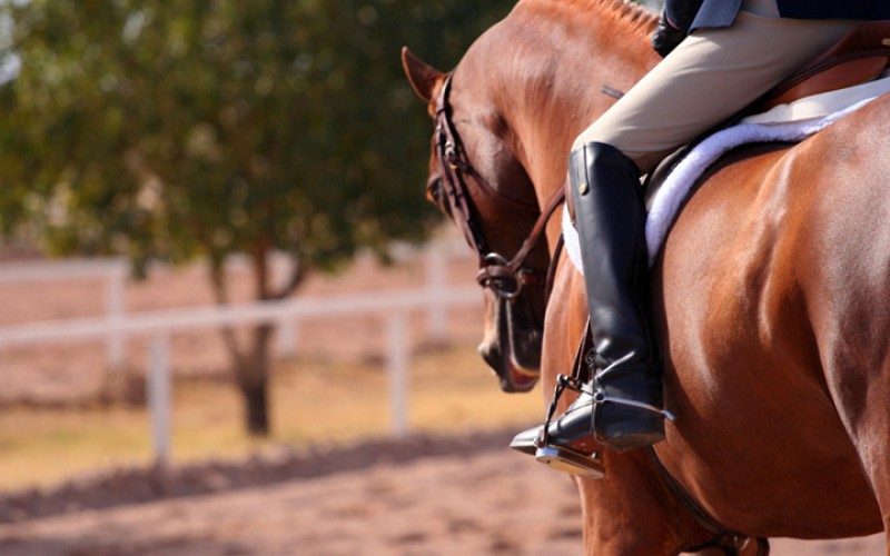 Abusi sessuali su minori: arrestato a Caserta istruttore di equitazione