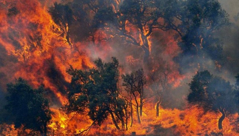 Salerno, incendio boschivo a Piedi la Serra: denunciato autore