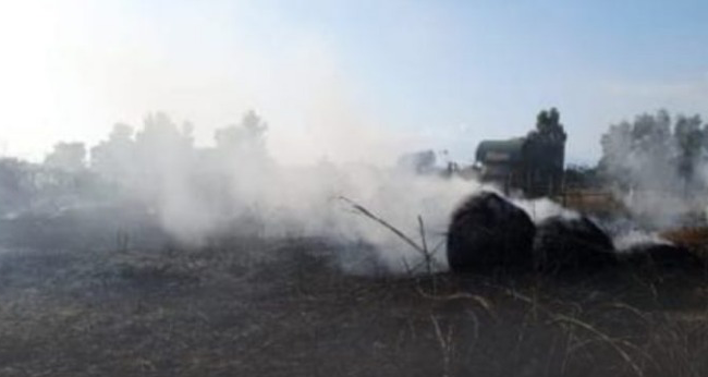 Vasto Incendio sulla Domiziana: per domarlo sei squadre dei Vigili del Fuoco