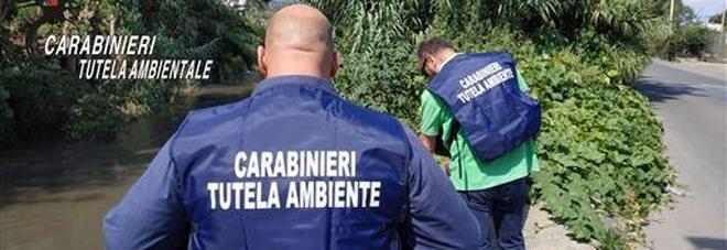 Scarico acque nel canale, sequestrato stabilimento Operazione ambientale dei Carabinieri del Noe nel Salernitano