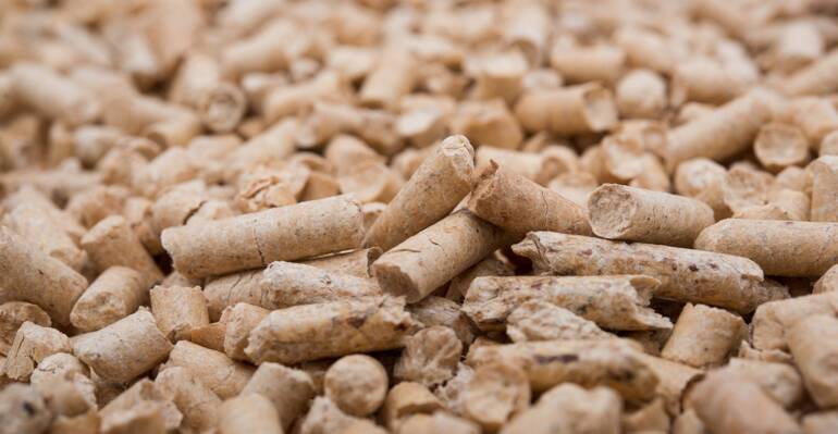 Truffa on line del pellet: 39 denunce tra Napoli e Caserta