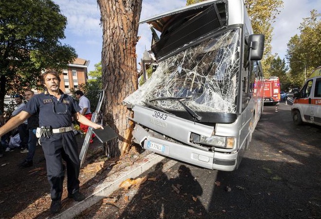 Bus si schianta contro un albero: 29 feriti