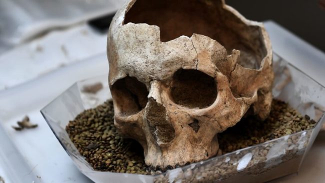 Scoperta la prima casa dell’Homo Sapiens: era in Africa meridionale