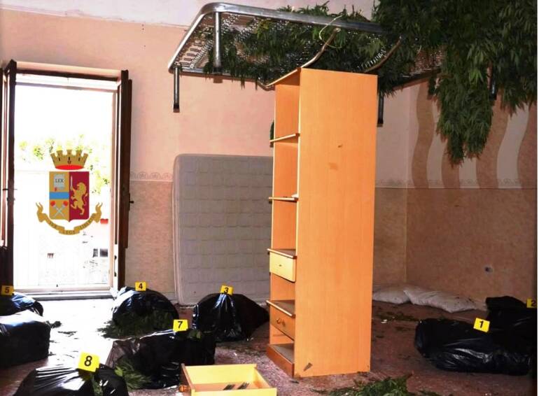Torre Annunziata, essiccavano piante di canapa in una casa disabitata: la polizia arresta due giovani