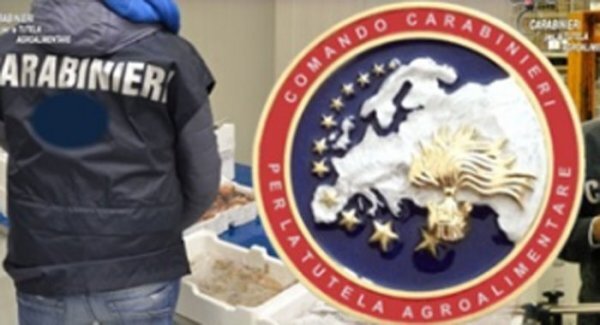 I Carabinieri sequestrano in Campania 315 tonnellate di cereali contraffatti