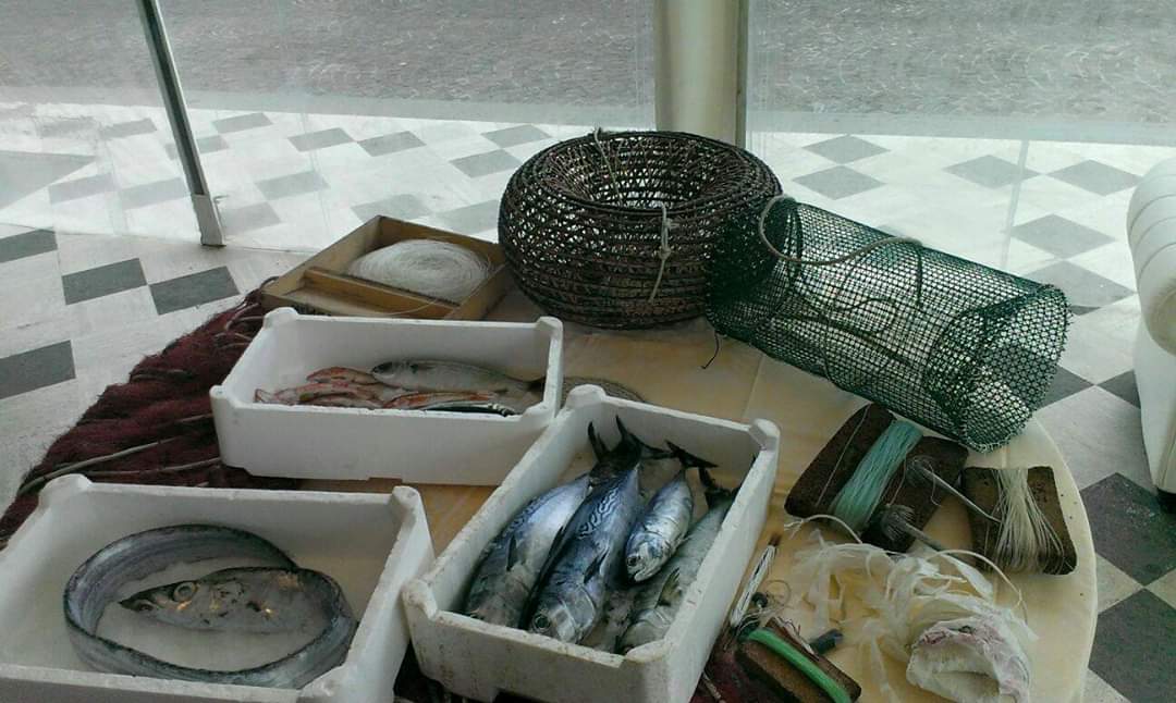 Punta Campanella promuove il consumo di pesce “povero” in 20 locali della Campania