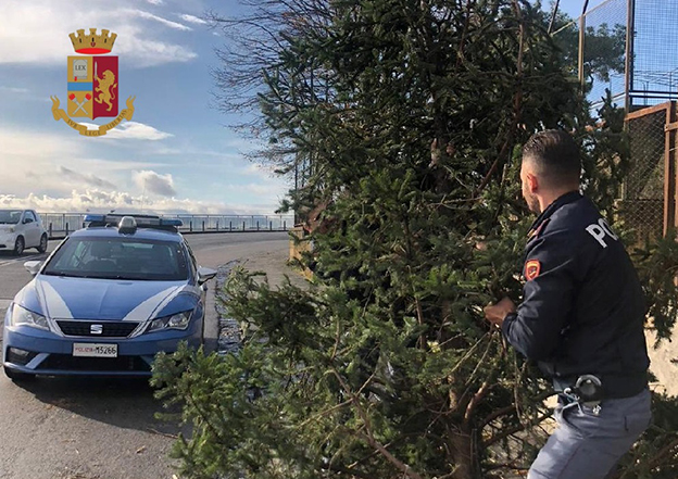 Napoli, rubano un albero in via Manzoni: denunciati 3 minorenni