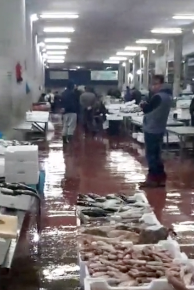 Pozzuoli, gli operatori del mercato del pesce al freddo e gelo: ‘Aiutateci per favore’
