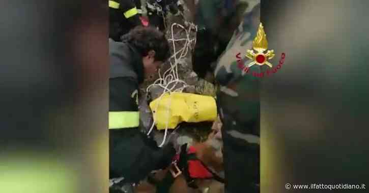 I Vigili del fuoco salvano un cane in burrone a 20 metri di profondità
