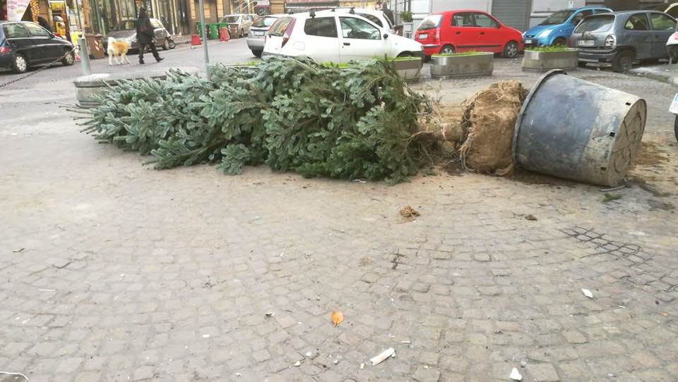 Rubato l’albero di Natale a Forcella: la dichiarazione di Mario D’Esposito, membro della fondazione Trianon Viviani